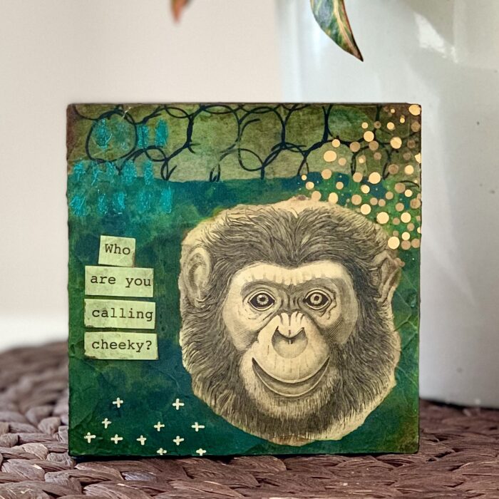 Animal Sounds | MONKEY